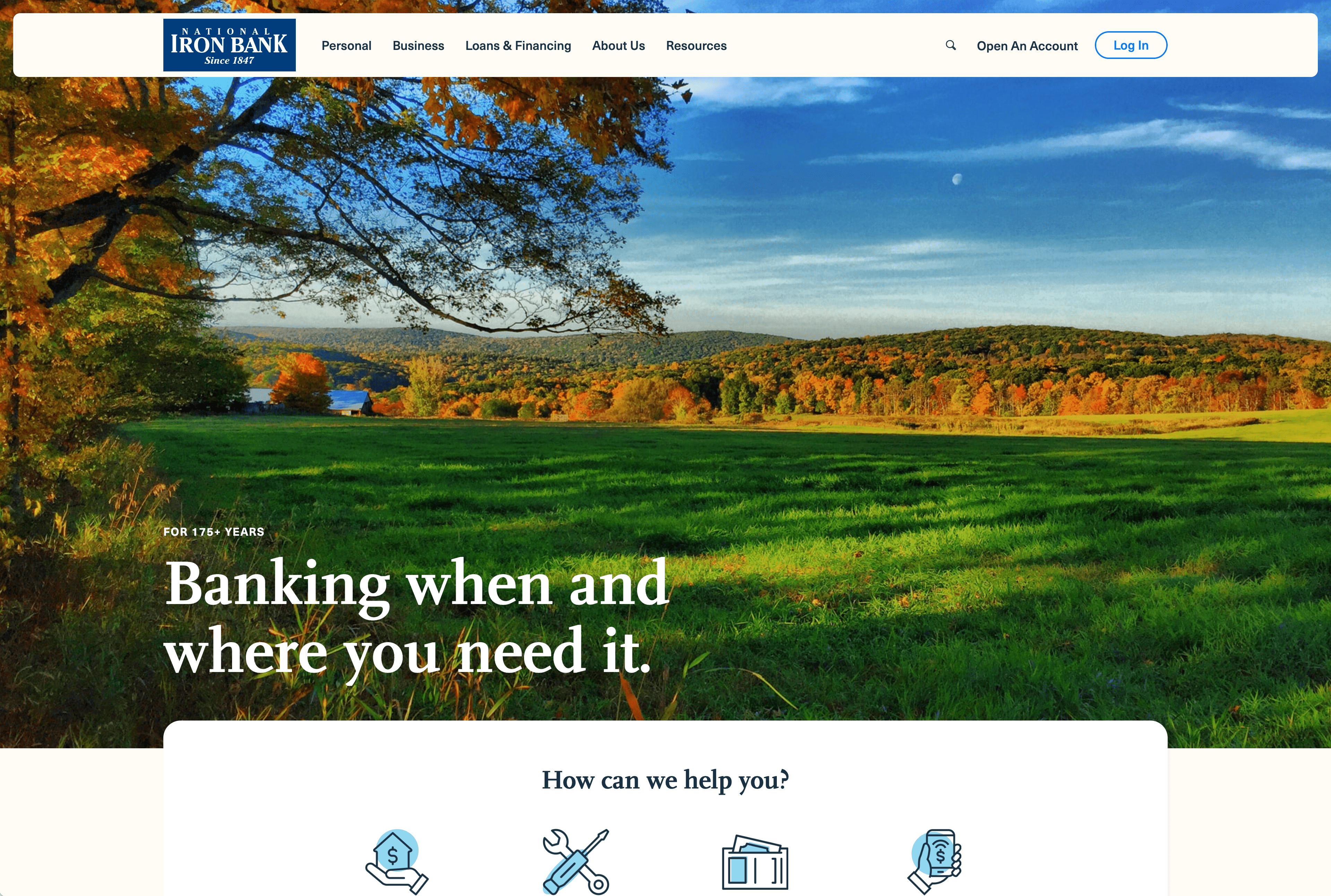 Screenshot of the National Iron Bank website